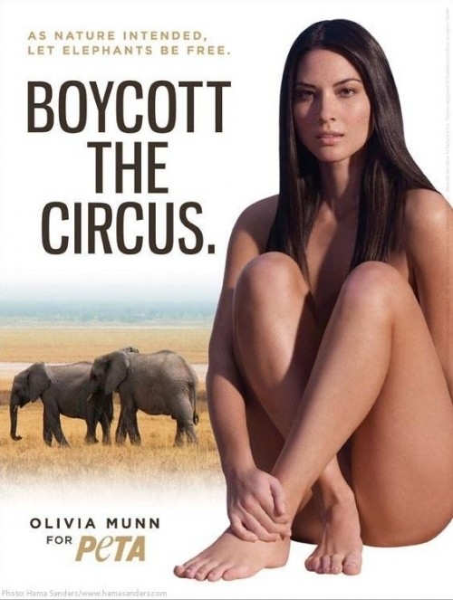 david perrotte add Olivia Munn Nude Pictures photo