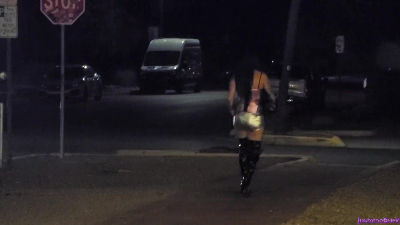 Prostitute Pickup 13619
