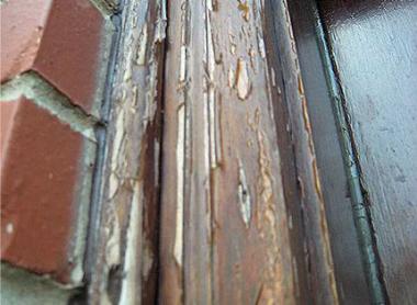 alan lippincott add Mahogany Masters Porn photo