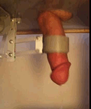 brittany baumgartner add Pennis Milking Machine photo