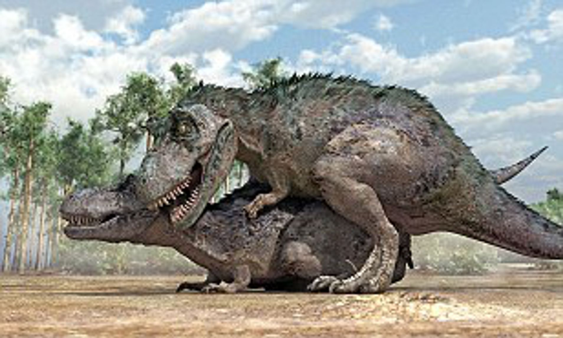 bernard dukes add Sex Dino photo