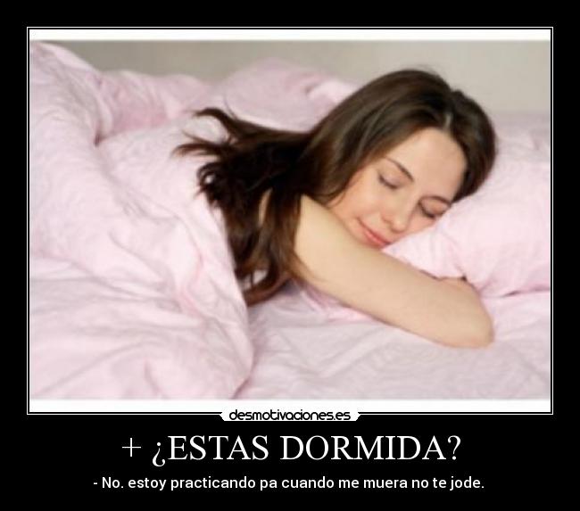 cindy schad add Primita Dormida photo