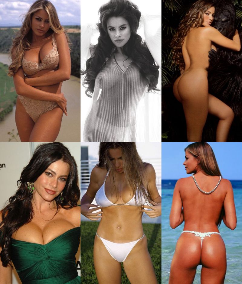 ashley copen add Pictures Of Sofia Vergara Nude photo