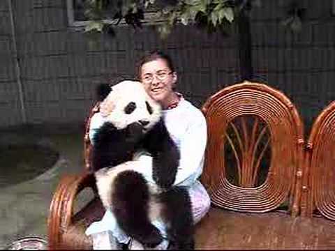 danette vargas add Panda Marie Porn photo