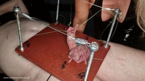 demetric wright add Torture Sex Video photo