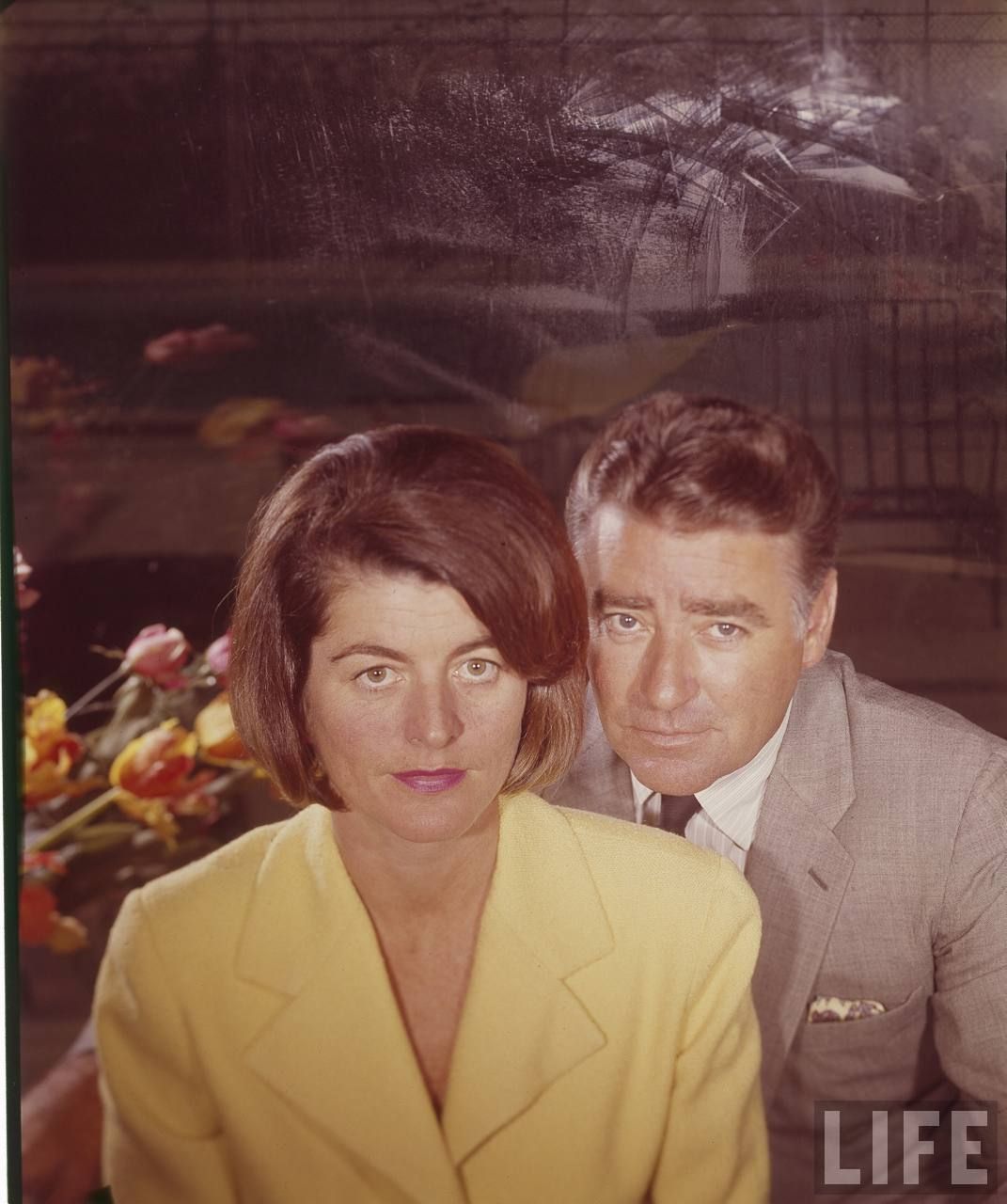 chad hoback add Porn Star Patricia Kennedy photo
