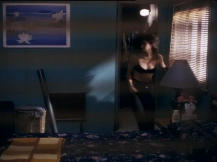chad gebo add Courtney Cox Nip Slip photo