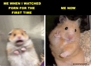 bob vasquez add Memes With Porn photo