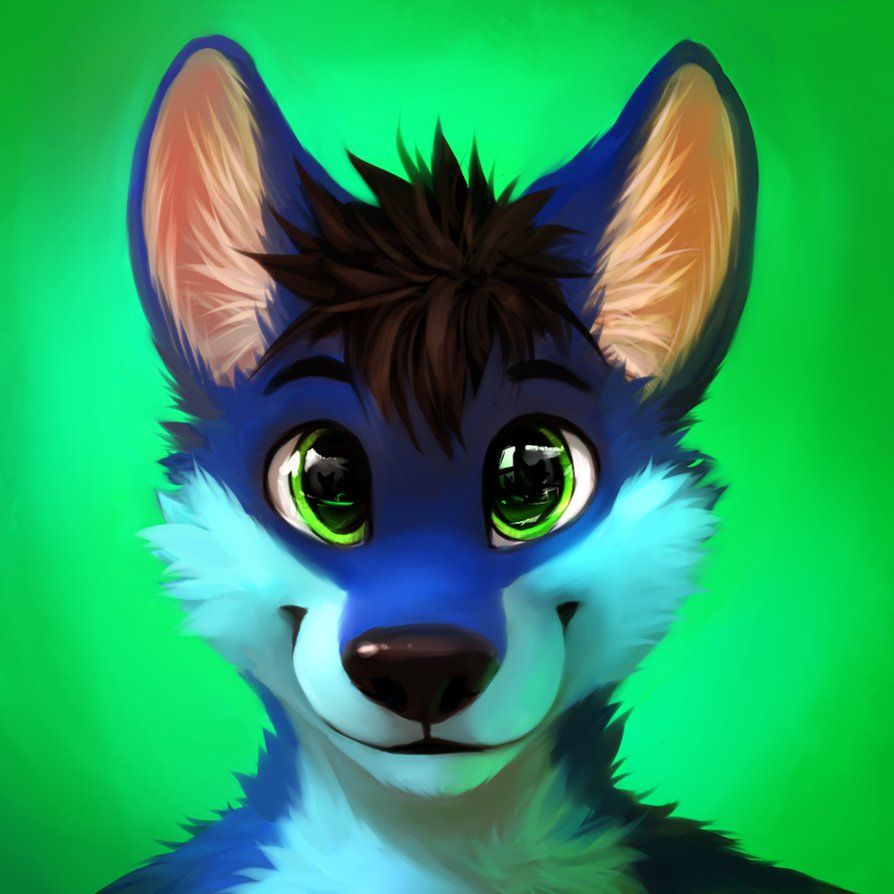abdalla ismail add Best Furry Porn photo
