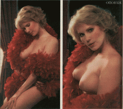 alondra arellano add Rita Jenrette Nude photo