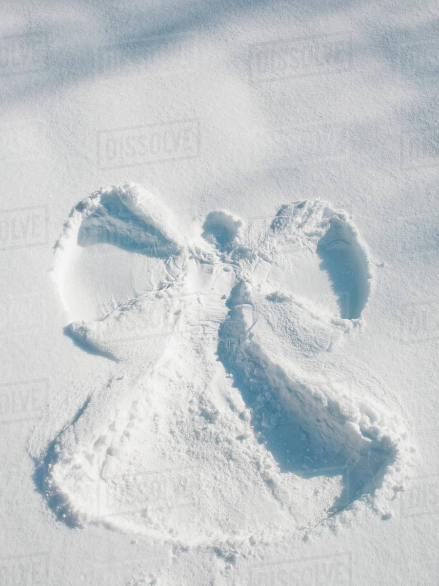 ali hobson add Skylar Snow Angel Youngs photo