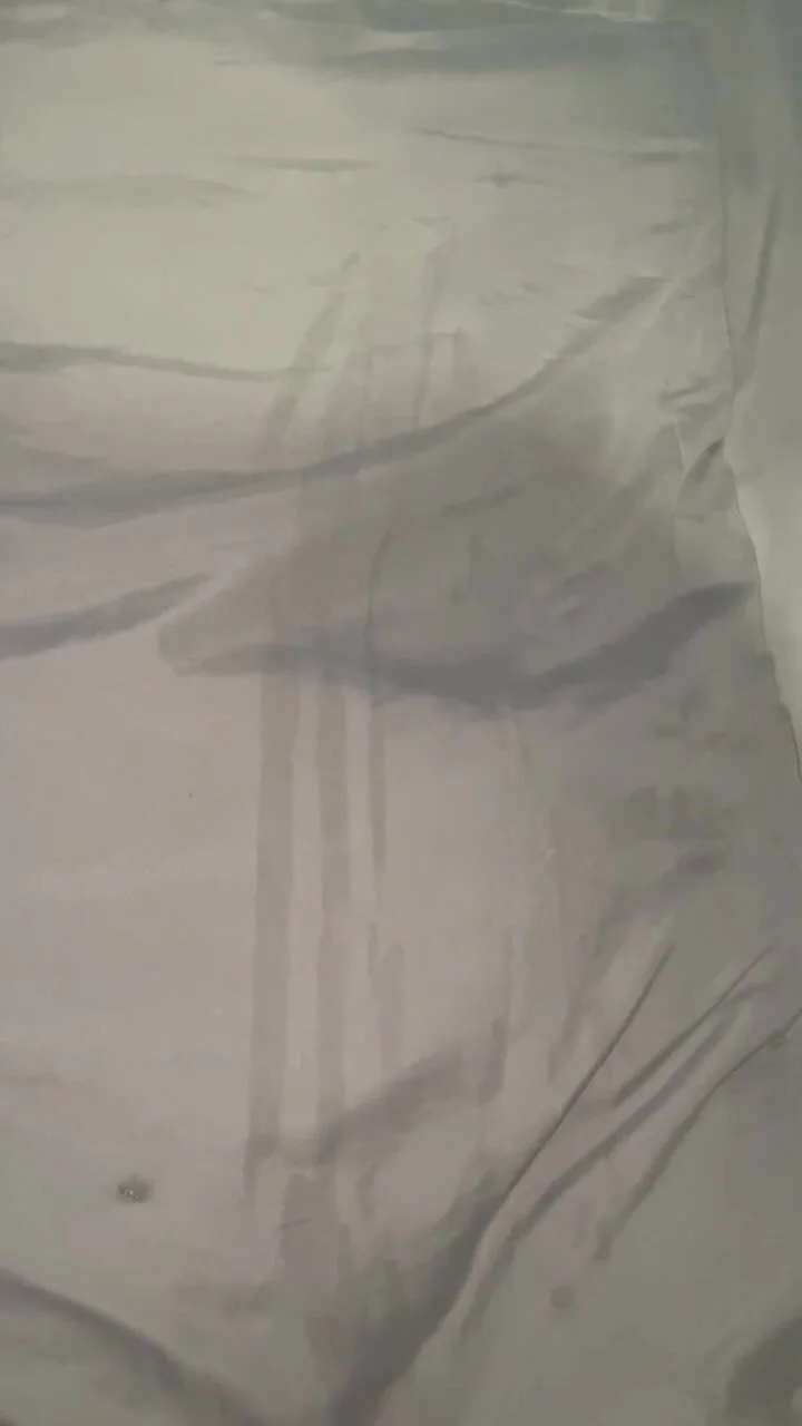 bibo dido add Cumming On Pillow photo