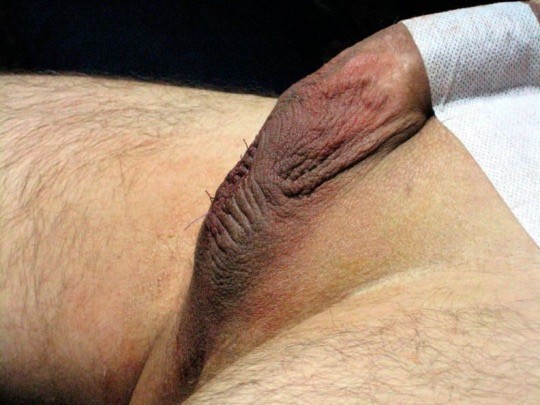 dhanuja colonne add Eunuch Porn photo