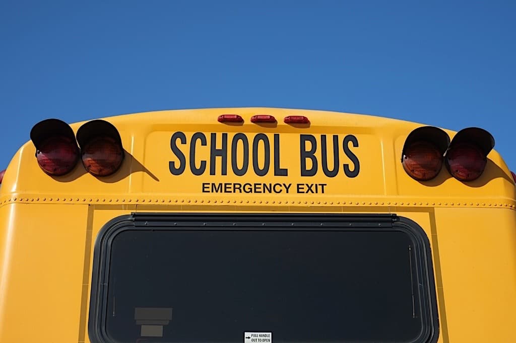 daniel zim add Porn On School Bus photo