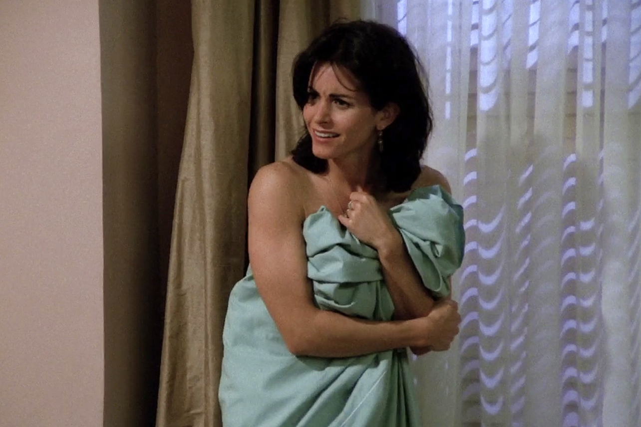 Monica Geller Nude 16549