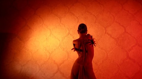 denita mitchell add Naked Belly Dancer Video photo