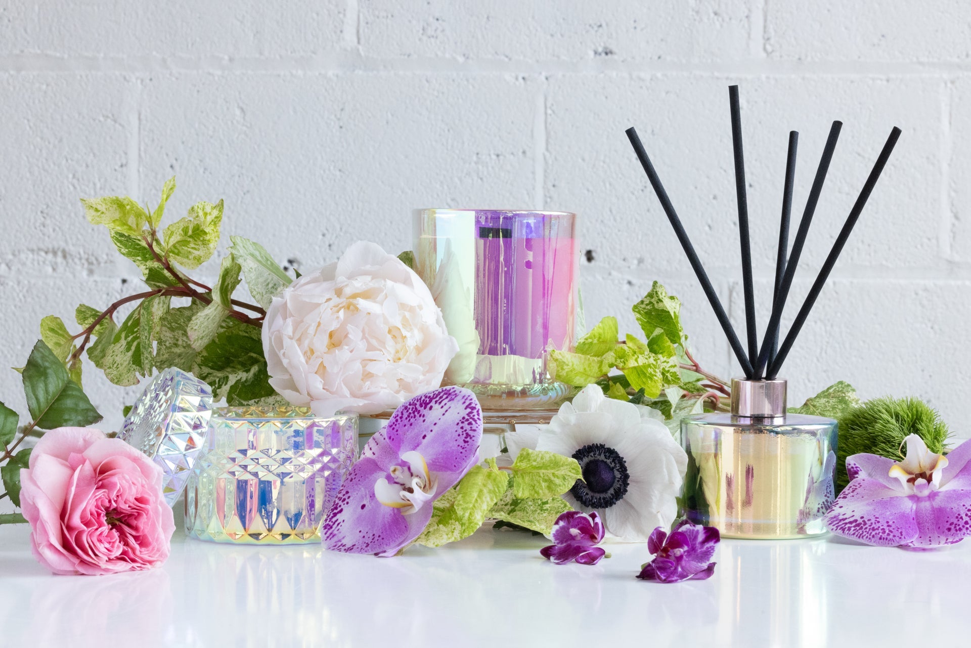 Stacy Bloom 14998