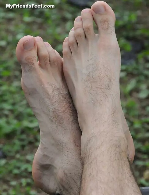 Hairy Male Feet 12498