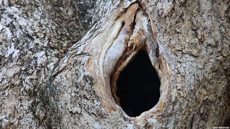 cory leonard add Glory Hole In Real Life photo