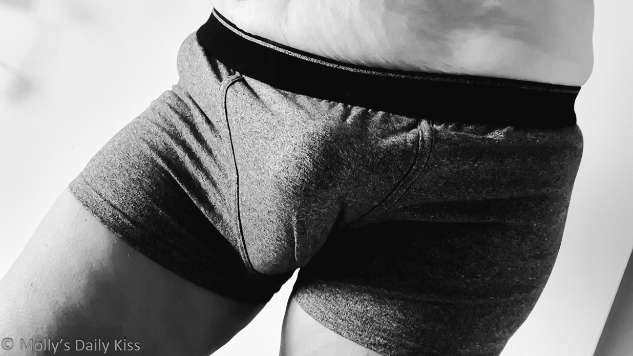 bow meow add Dick Bulge photo