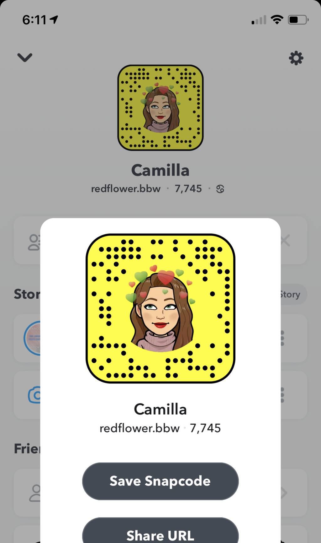 ali boutorabi add Snapchar Nudes photo