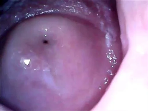 catie wilson add Korean Vaginas photo