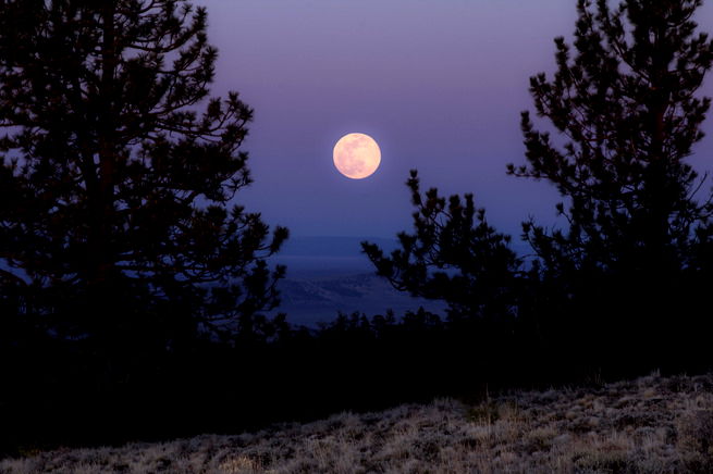 brent bartman add Pink Moon Lust photo