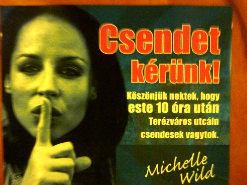 dena salehi add Michelle Wild photo