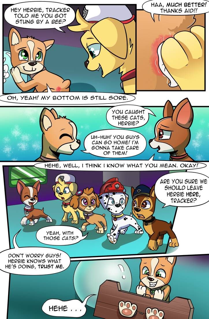 deepak jogadia add Paw Patrol Porn photo