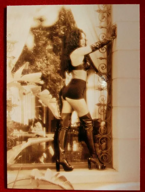 Julie Strain Movies 8403