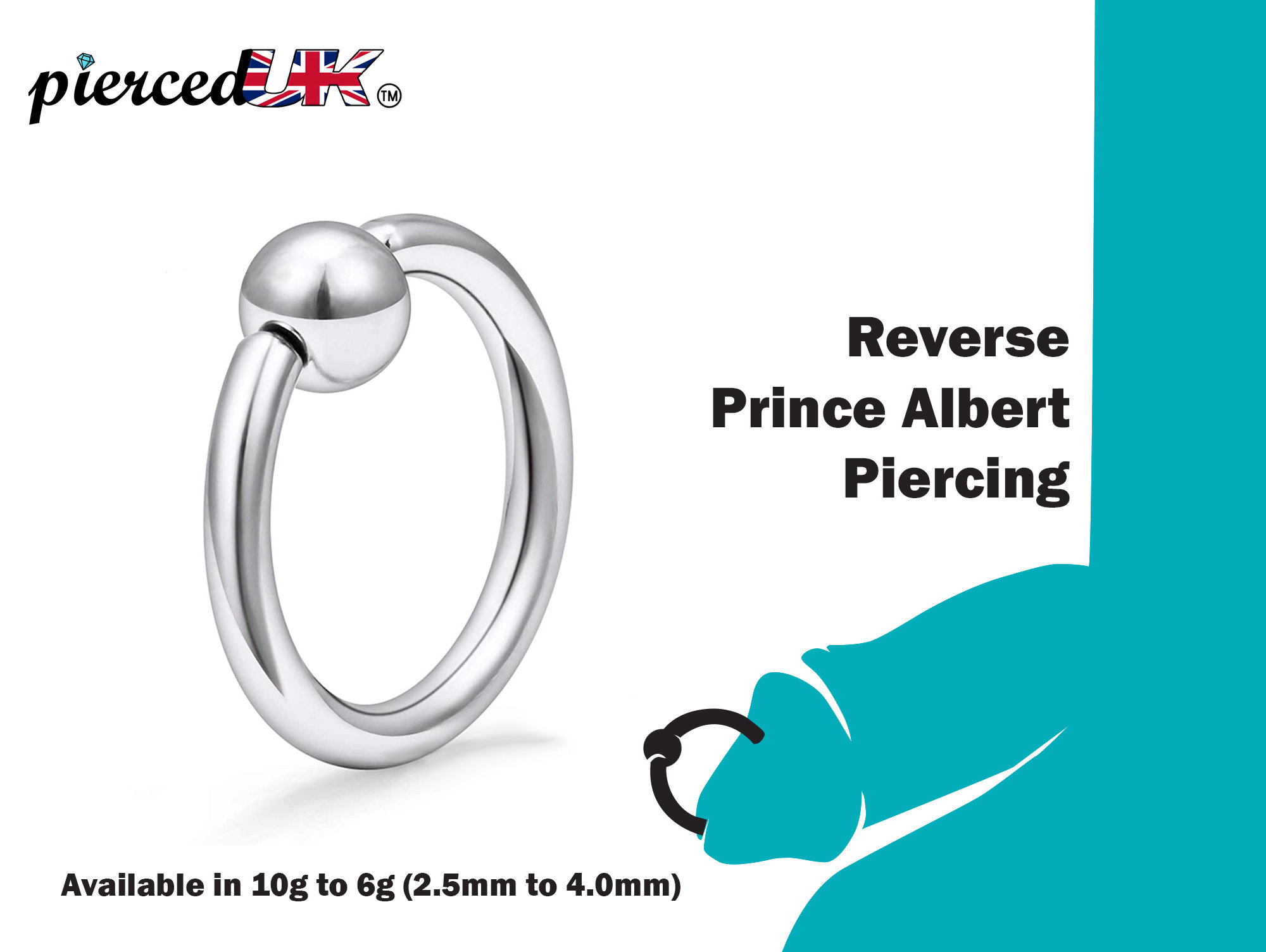 donna mcfadden add Prince Albert Piercing Video photo