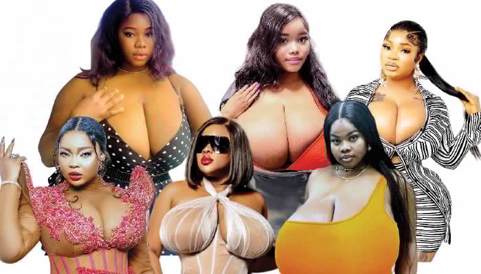 Chubby Big Tits Mature 5042