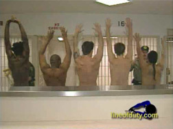 bob beatson add Strip Searched Videos photo
