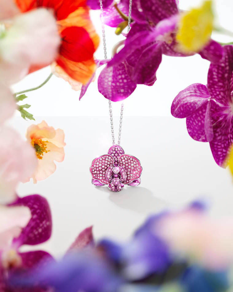ahmad nazif add Krystal Orchid photo