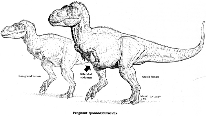 brandon beliveau add Sex Dino photo