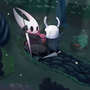 ben teller add Hollow Knight Porn photo