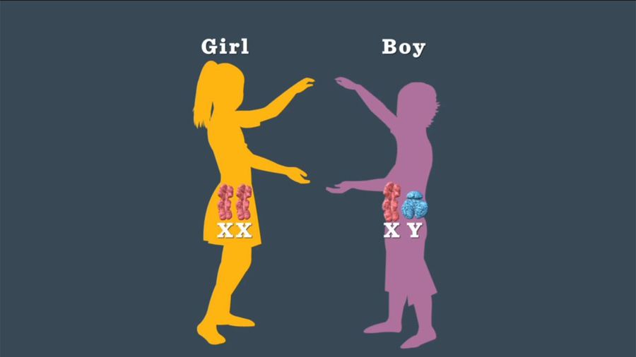 andrea gipson add Sex Positions For Teens photo