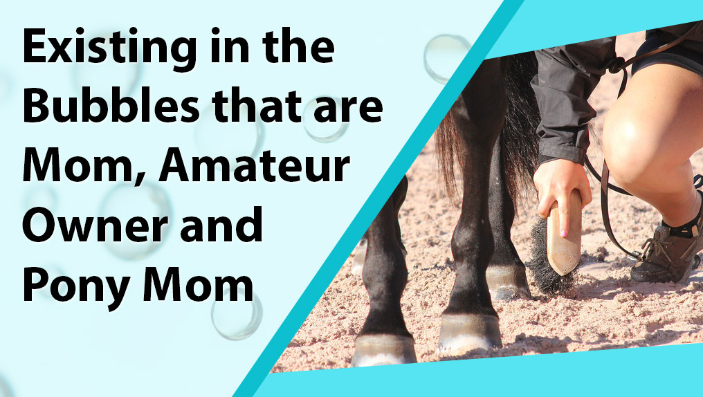 casey levingston add Ameture Mom photo