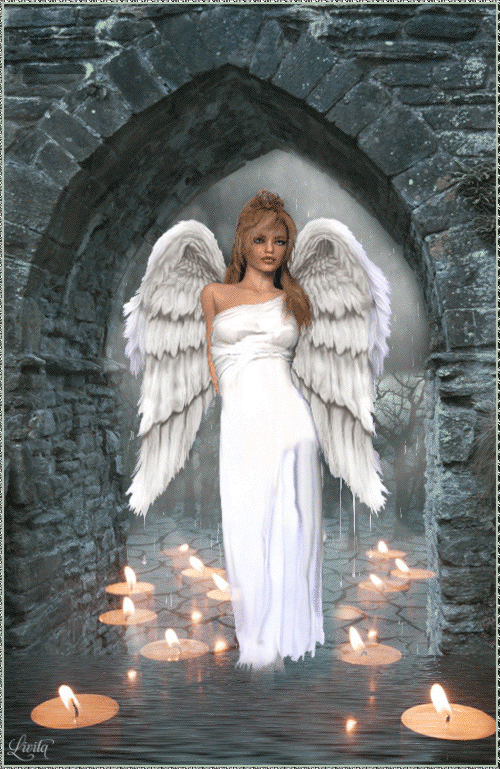 bryce scofield add Anal Angels photo
