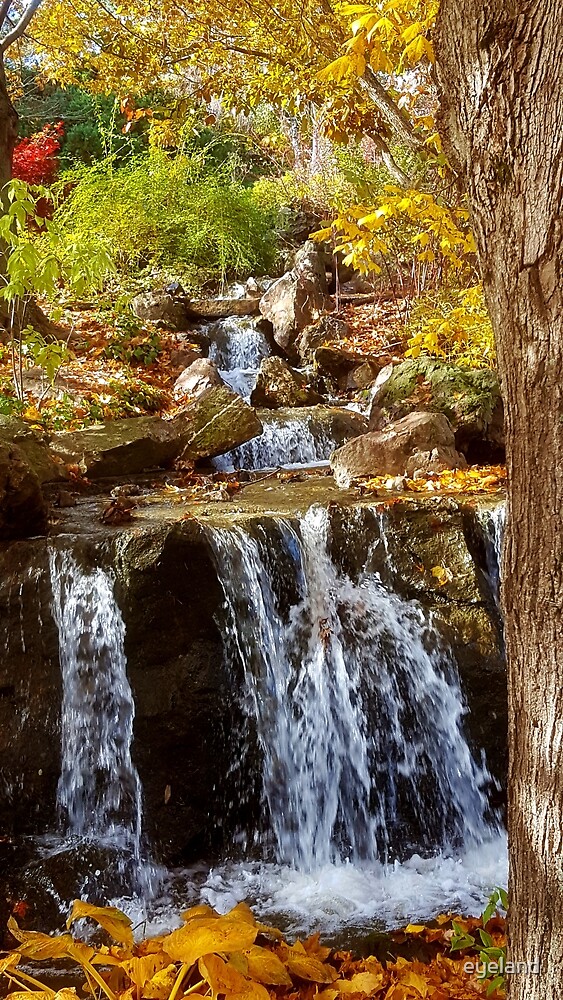 collette jones add Autum Falls Pics photo