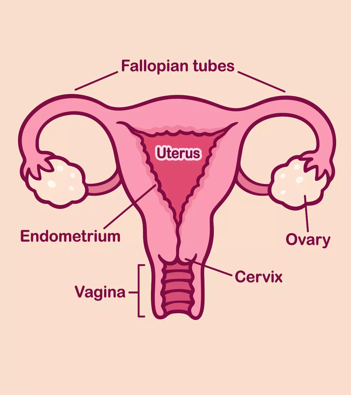 alireza etemadi add Cervix Penetration Stories photo