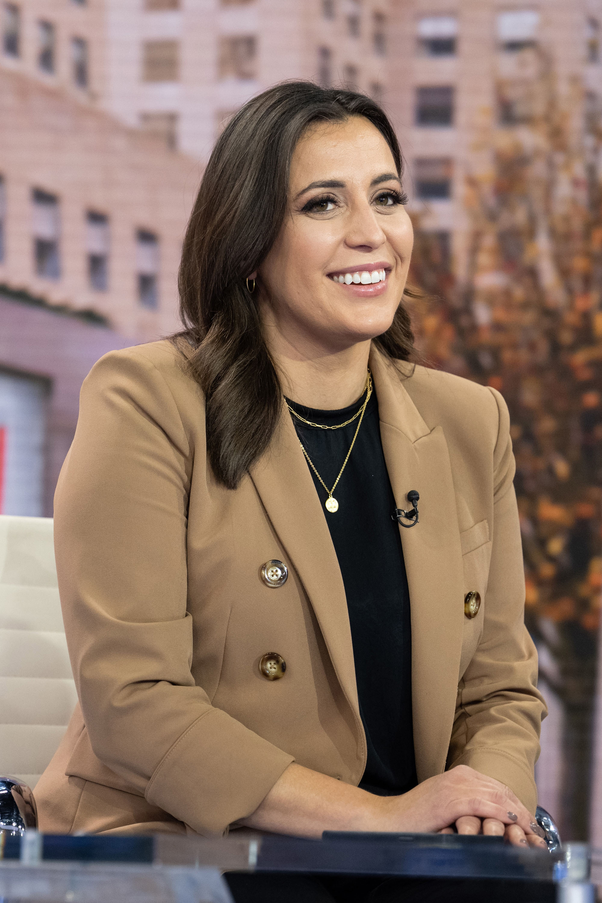 Hallie Jackson Nude 17037
