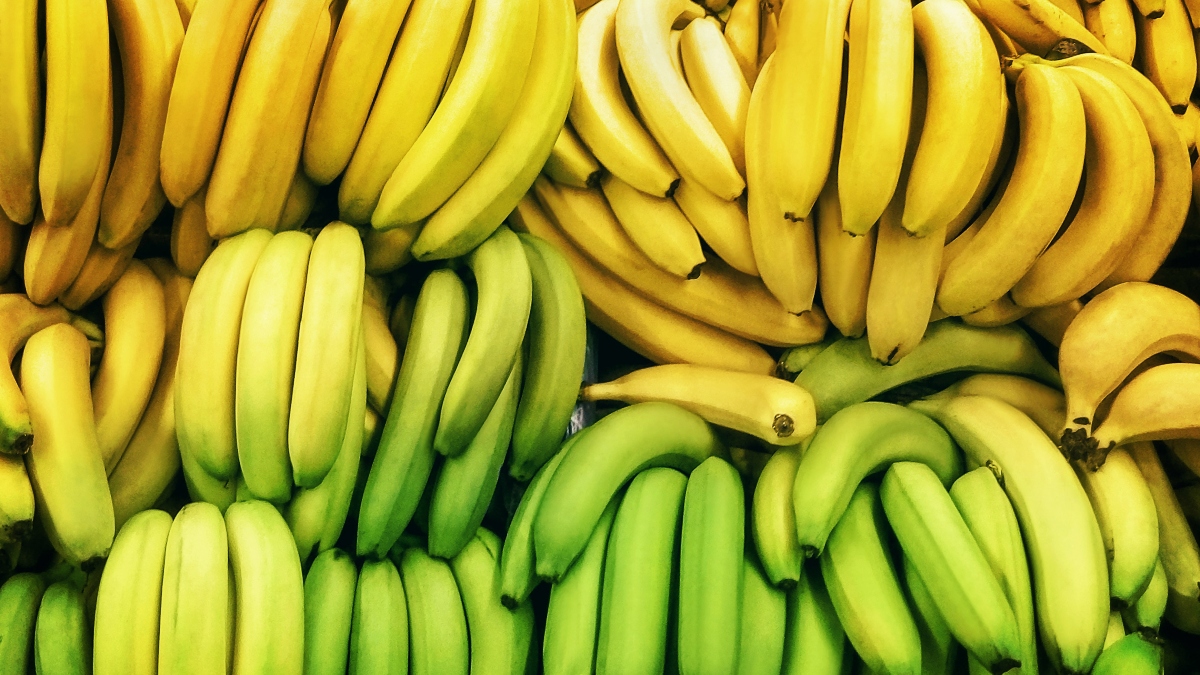brian menzel add Banana Nomads photo