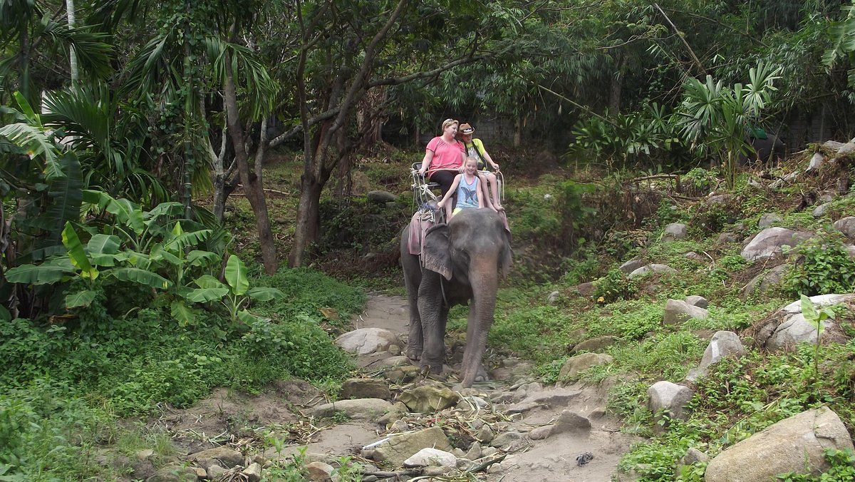 charles sharits add Bareback In Thailand photo