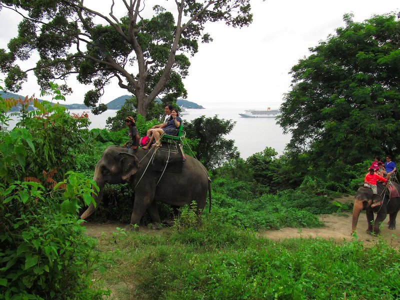 curtis soileau add Bareback In Thailand photo