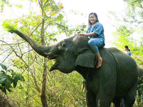 angelo panaligan add Bareback In Thailand photo