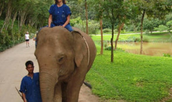 byju kv add Bareback In Thailand photo
