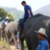 conor donoghue add Bareback In Thailand photo