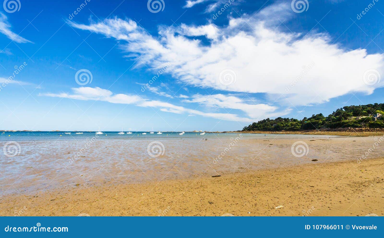 cathy martell add Beach Voiyer photo