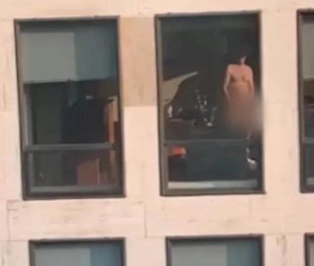 brooklyn baker add Naked Neighbors photo